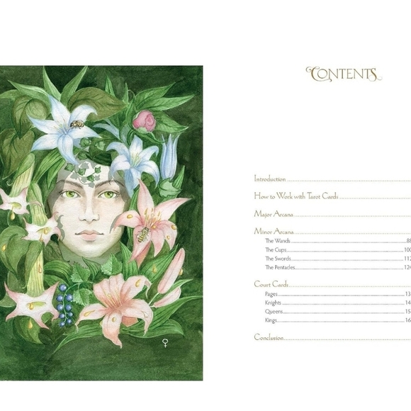 Insight Tarot Deck | Red Feather | Jungian Depth Psychology Divination Tool NWT - Picture 5 of 15